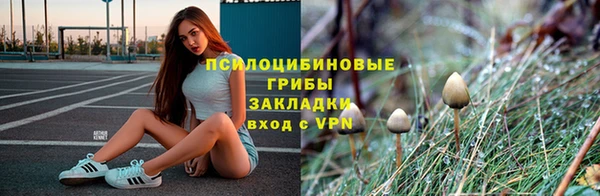 spice Покров