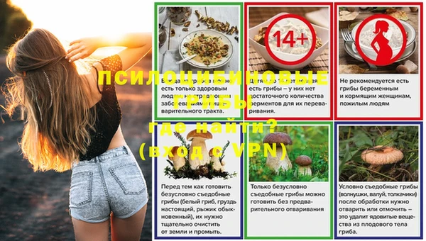 spice Покров